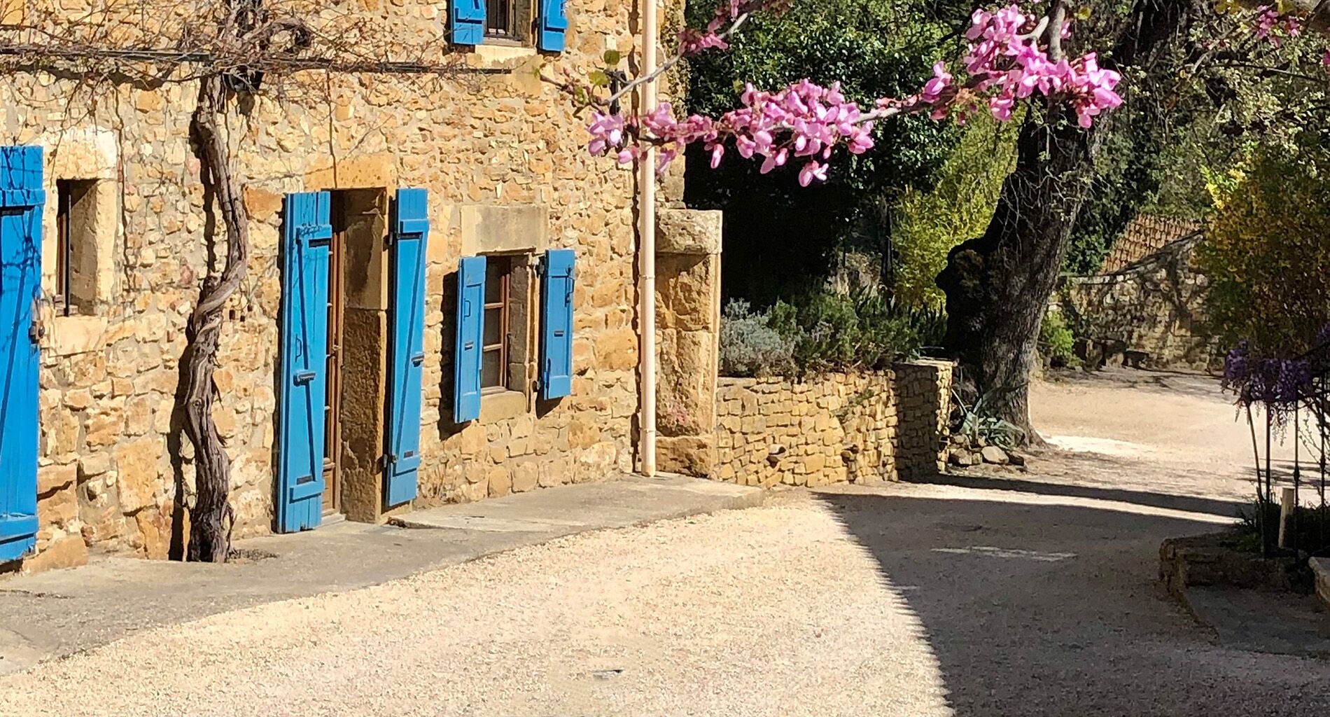 Extérieurs du gîte La Réserve, hébergement pour 2 personnes dans le Gard