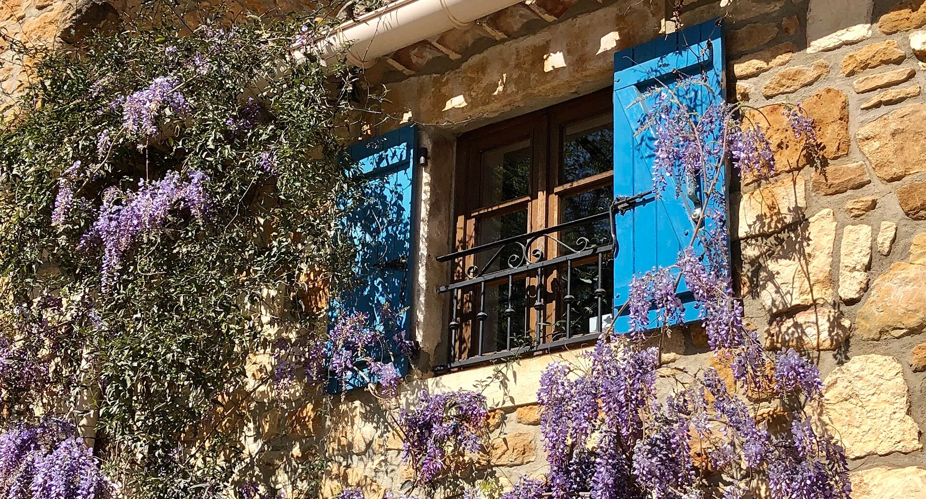 Fenêtre du grand gîte, volets bleus et glycine en fleurs